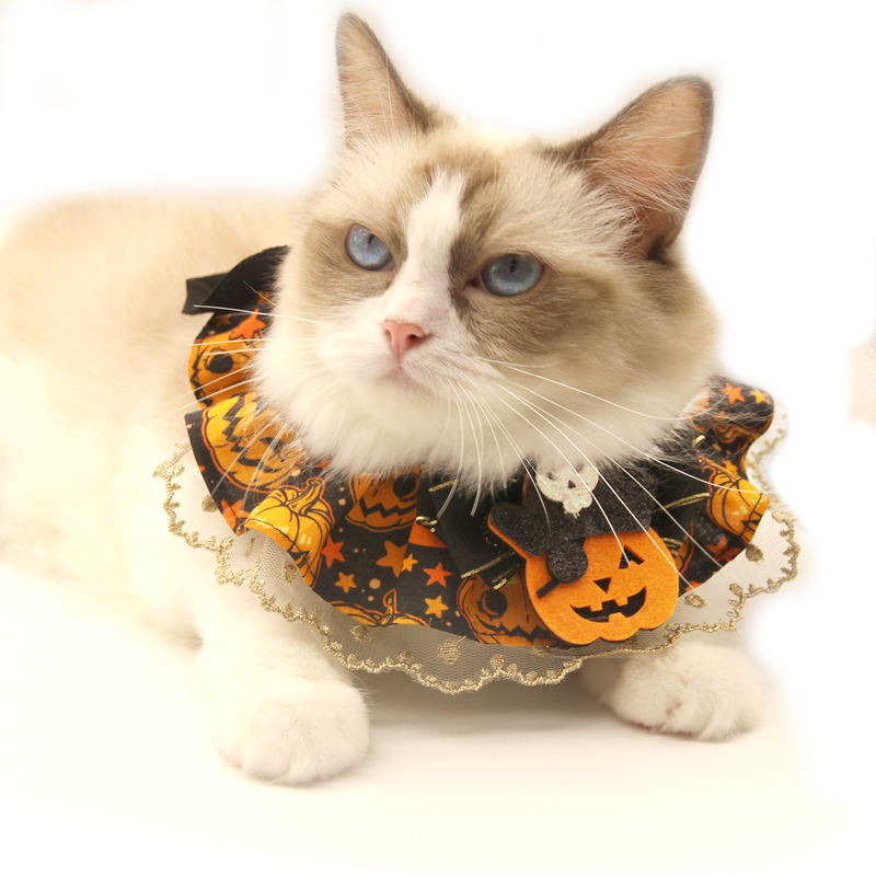 猫首輪 ねこ首輪 ペット首輪 ハロウィンテーマペット首輪 ハロウィンペットコスチューム
