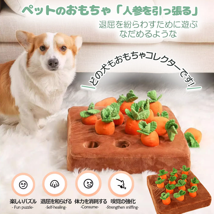 ペット おもちゃ ノーズワーク にんじん 犬のおもちゃ にんじん ペット用品 12個 にんじん畑