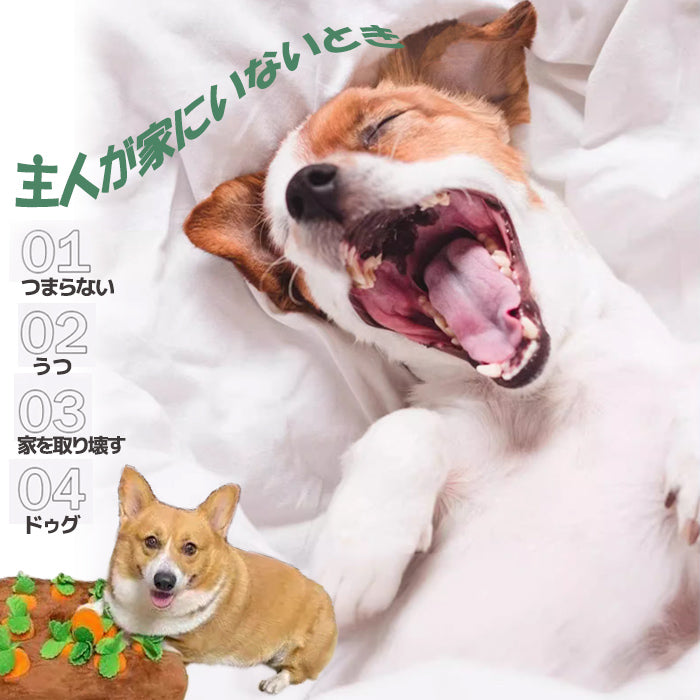 ペット おもちゃ ノーズワーク にんじん 犬のおもちゃ にんじん ペット用品 12個 にんじん畑
