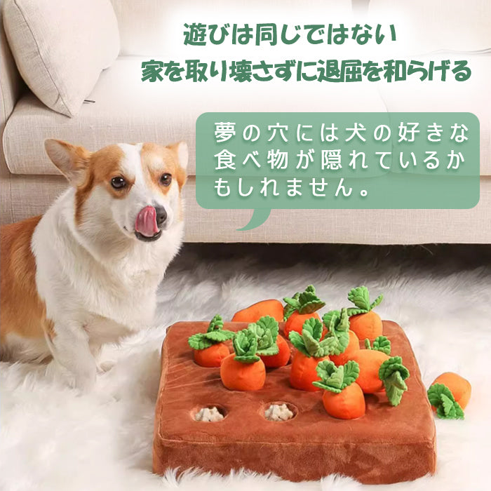 ペット おもちゃ ノーズワーク にんじん 犬のおもちゃ にんじん ペット用品 12個 にんじん畑