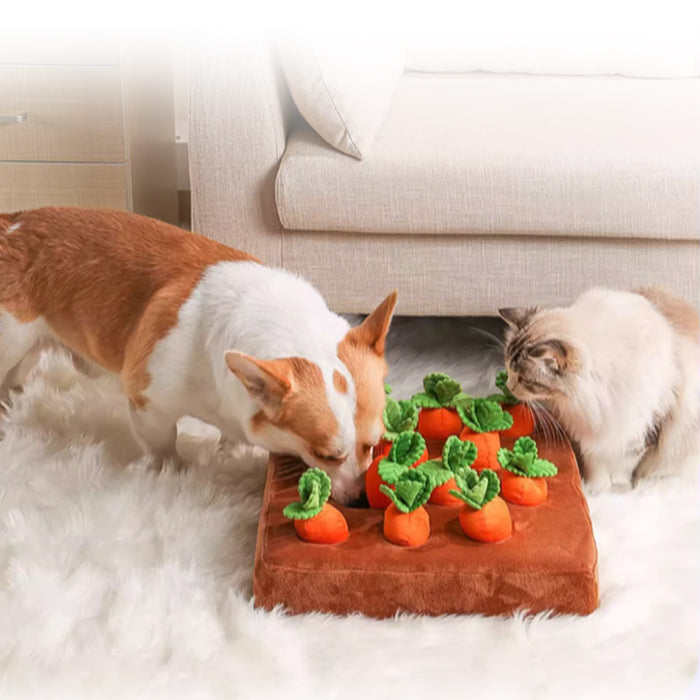 ペット おもちゃ ノーズワーク にんじん 犬のおもちゃ にんじん ペット用品 12個 にんじん畑