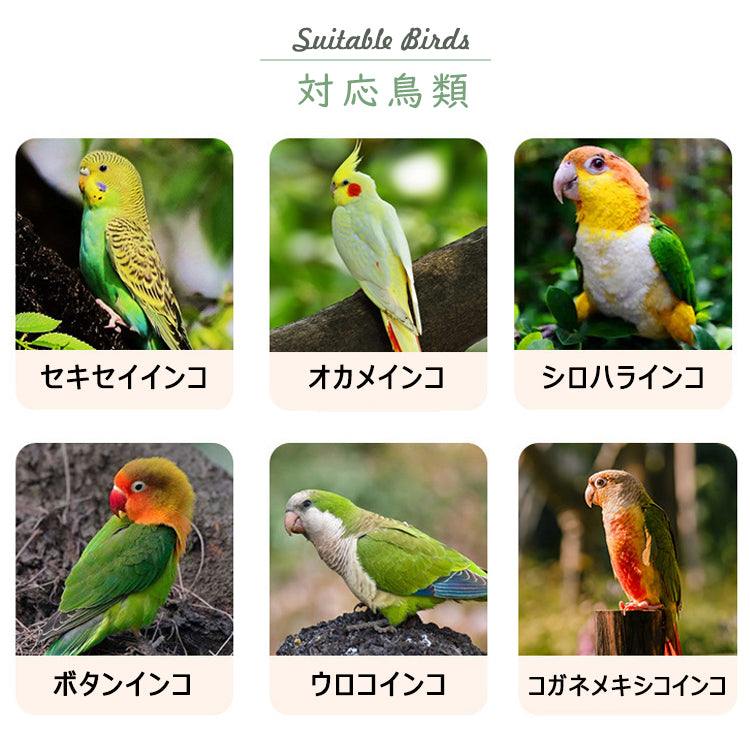 鳥水浴び 鳥用水浴び 自動水浴び バードバス 鳥用バスタブ 水浴びケース 飼育グッズ 鳥用品