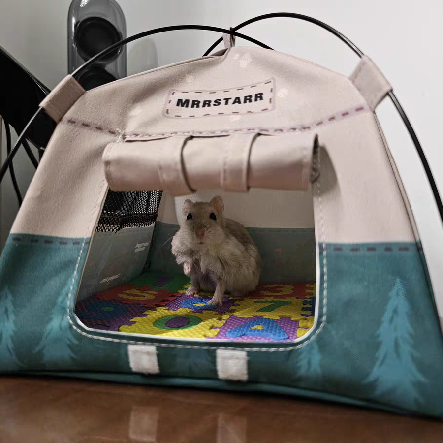 ミニチュアテント 撮影小物 ドールハウス 撮影道具 ob11テント 12分ドール アウトドア風