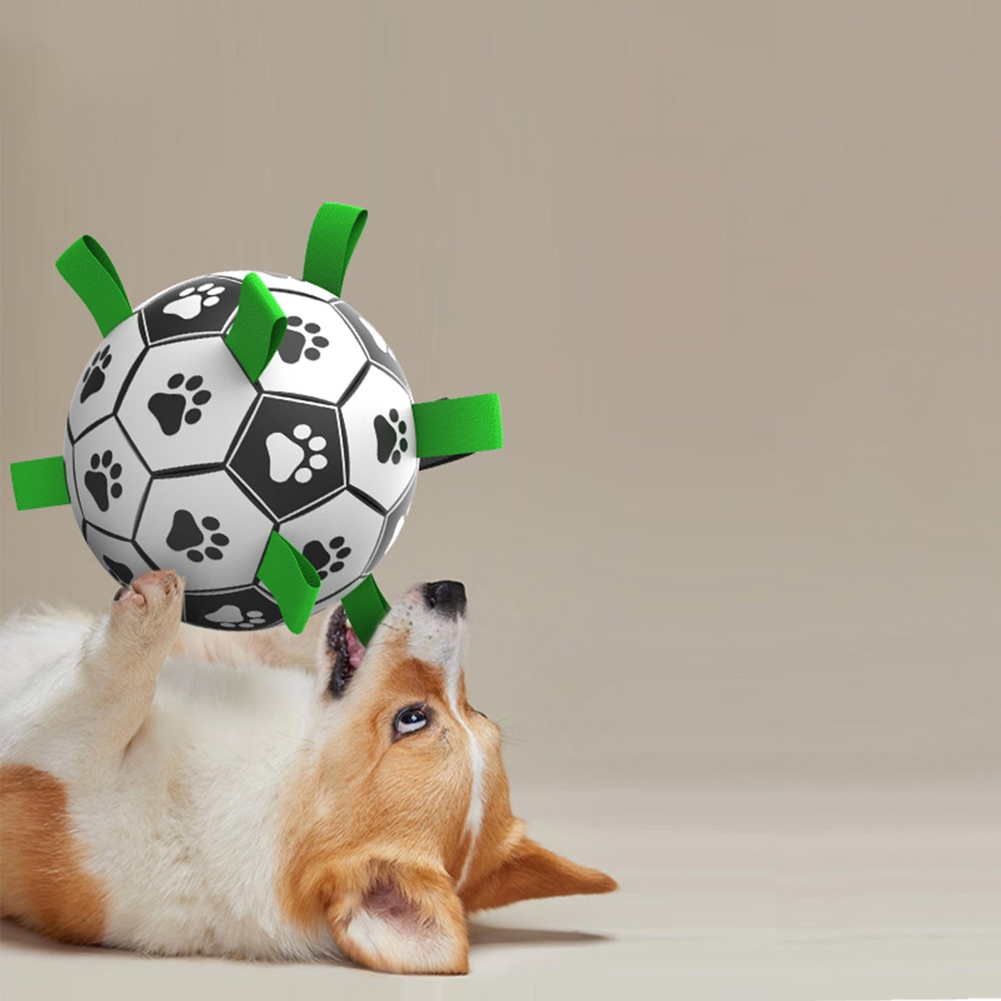 用サッカーボール 犬ボール 犬用おもちゃ オモチャ 空気入れ付き 犬用 ボール 犬玩具