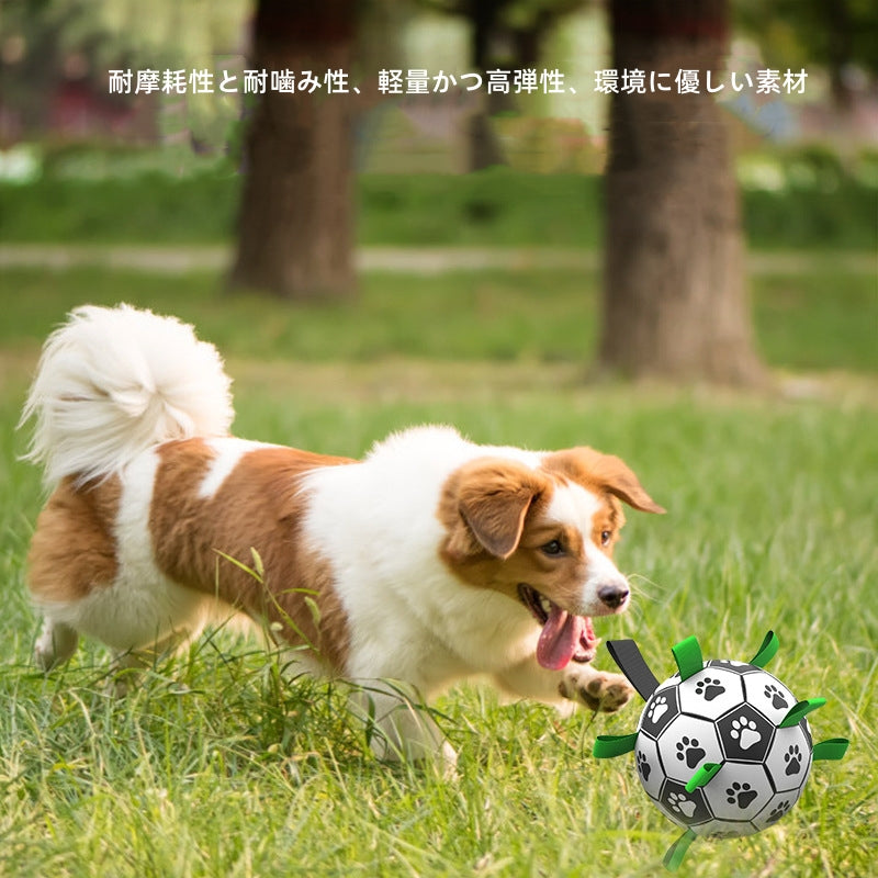 用サッカーボール 犬ボール 犬用おもちゃ オモチャ 空気入れ付き 犬用 ボール 犬玩具