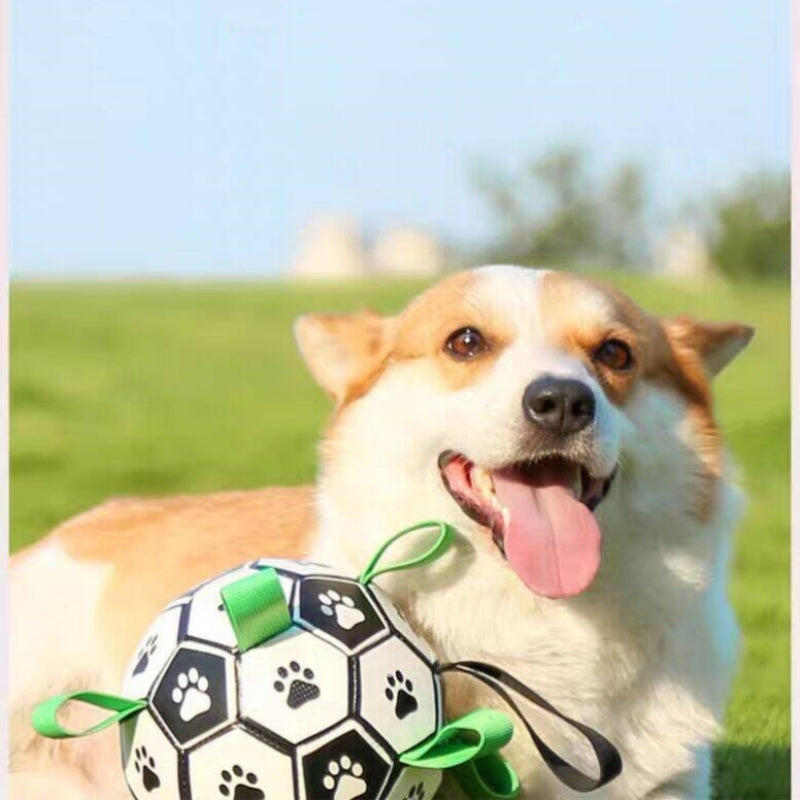 用サッカーボール 犬ボール 犬用おもちゃ オモチャ 空気入れ付き 犬用 ボール 犬玩具