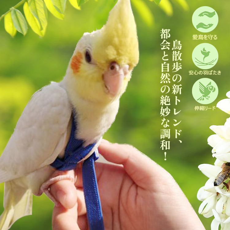 鳥用ハーネス2点セット オウムハーネス バードリード 小鳥用リード ハーネス