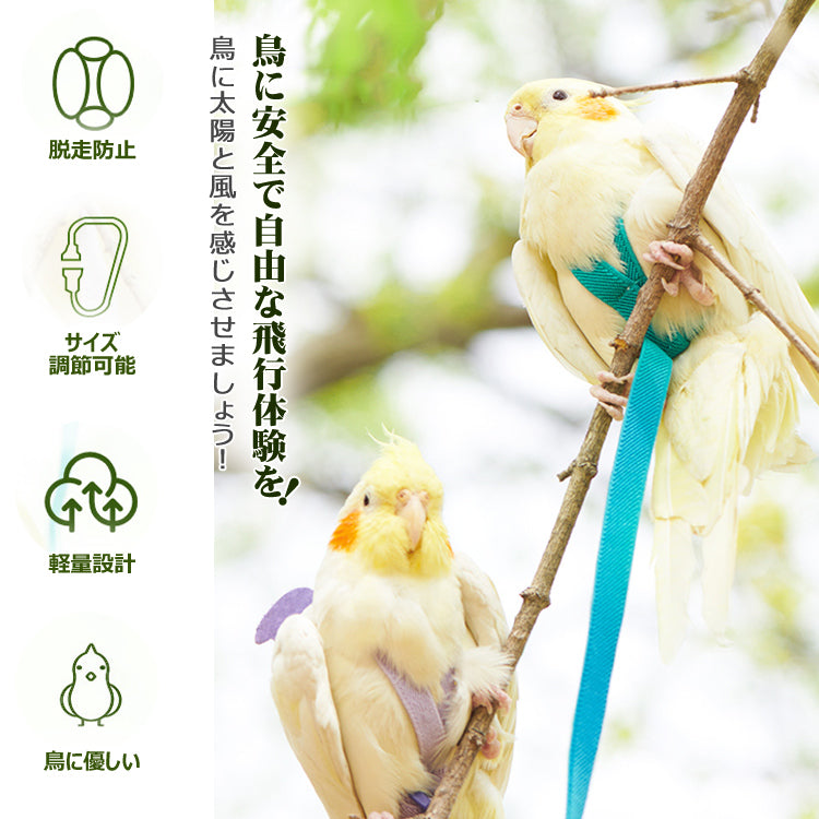 鳥用ハーネス2点セット オウムハーネス バードリード 小鳥用リード ハーネス