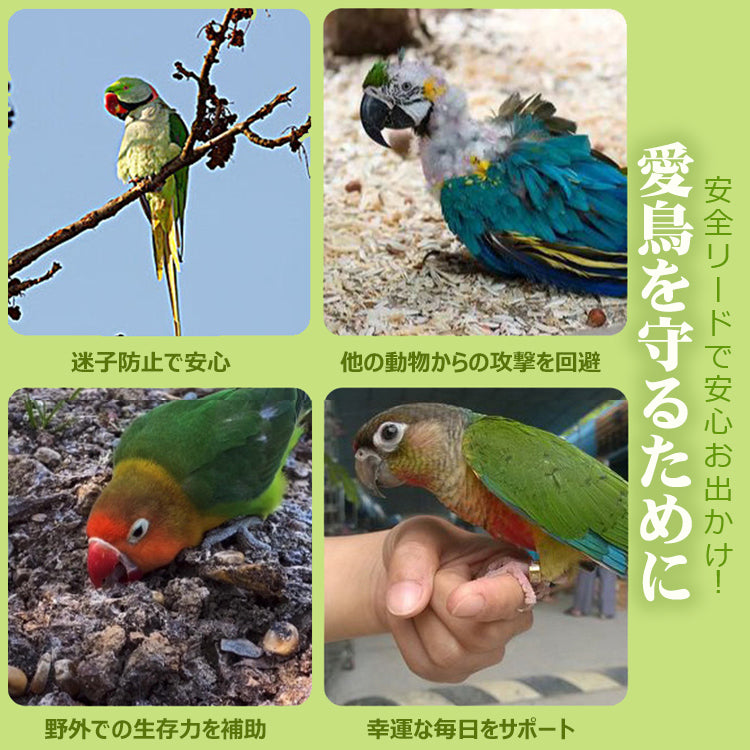鳥用ハーネス2点セット オウムハーネス バードリード 小鳥用リード ハーネス