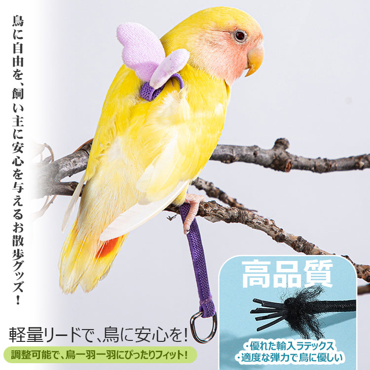 鳥用ハーネス2点セット オウムハーネス バードリード 小鳥用リード ハーネス