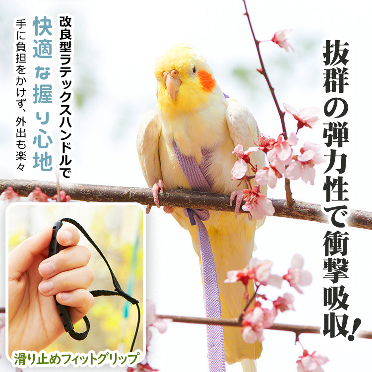 鳥用ハーネス2点セット オウムハーネス バードリード 小鳥用リード ハーネス