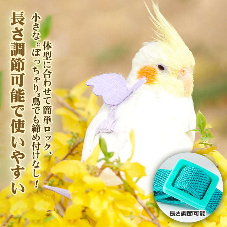 鳥用ハーネス2点セット オウムハーネス バードリード 小鳥用リード ハーネス