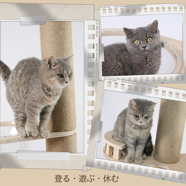 キャットタワー 猫タワー キャットポール 突っ張り型 据え置き型 木製