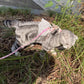 猫 ハーネス リード 2点セット 猫用ハーネス 猫用胴輪 猫用品 簡単装着 サイズ調節可能 ダブルロック