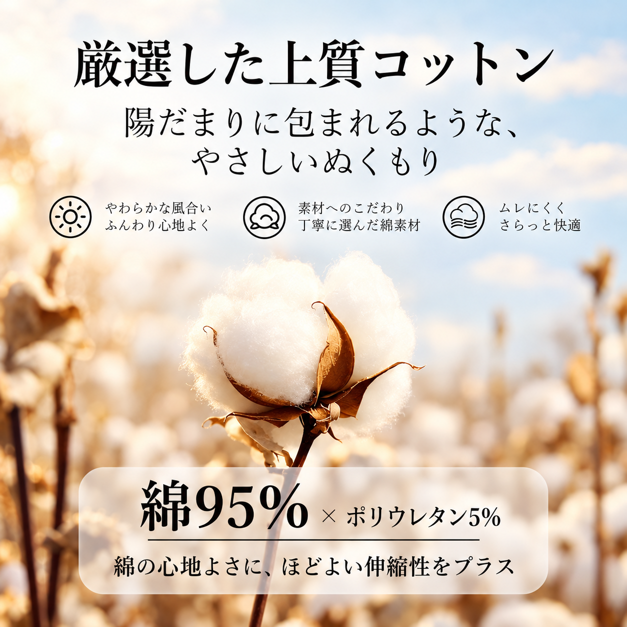 あったかインナー レディース 上下セット 綿100% 薄手 長袖 丸首 微起毛 秋冬 防寒 保温