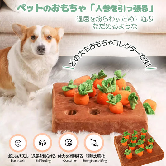 ペット おもちゃ ノーズワーク にんじん 犬のおもちゃ にんじん ペット用品 12個 にんじん畑