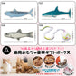 猫じゃらし5点セット 10点セット【自由選択】ねこじゃらし 猫用おもちゃ 猫のおもちゃ