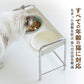 猫用食器 陶器フードボウル 高脚設計 猫用食器台 フードボウル 犬用兼用 大容量
