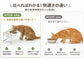 猫用食器 陶器フードボウル 高脚設計 猫用食器台 フードボウル 犬用兼用 大容量