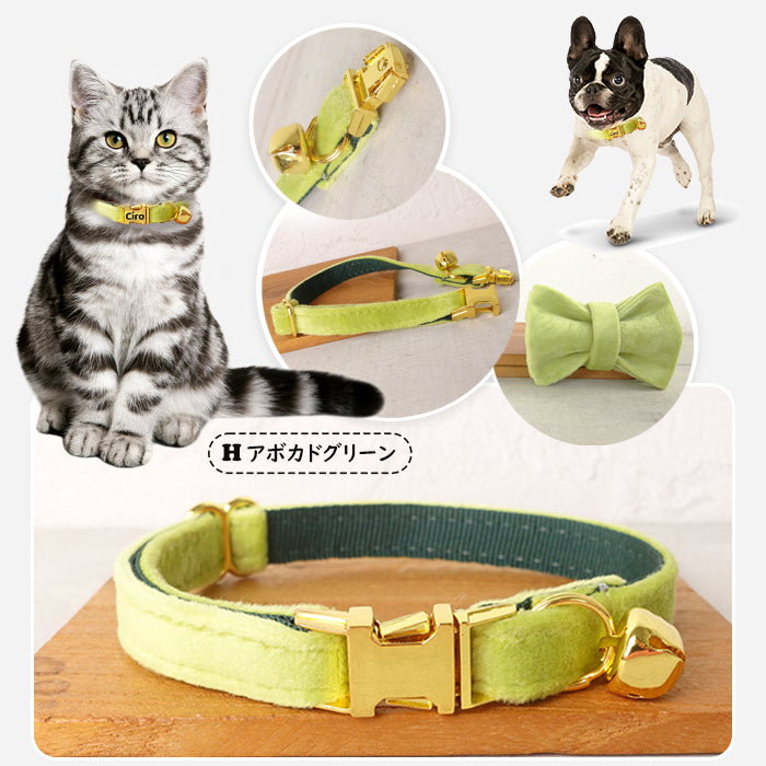 迷子札付き 猫用首輪 ゴールド オーダーメイドの迷子札 猫 首輪 猫首輪 迷子札  バックル