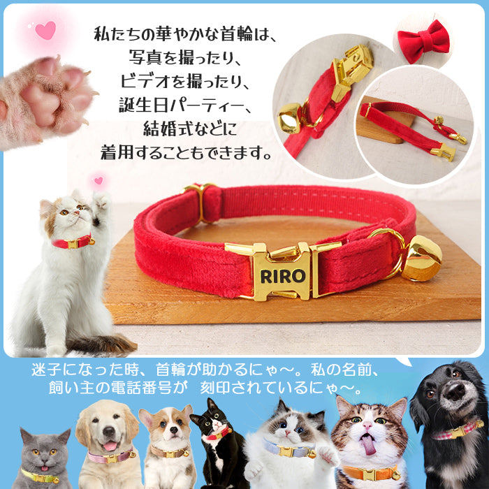 迷子札付き 猫用首輪 ゴールド オーダーメイドの迷子札 猫 首輪 猫首輪 迷子札  バックル