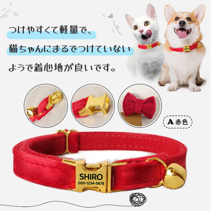 迷子札付き 猫用首輪 ゴールド オーダーメイドの迷子札 猫 首輪 猫首輪 迷子札  バックル