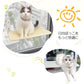 猫 ベッド 窓 キャットハンモック ウィンドウベッド 吸盤 強力 安定感 落下防止