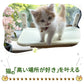 猫 ベッド 窓 キャットハンモック ウィンドウベッド 吸盤 強力 安定感 落下防止